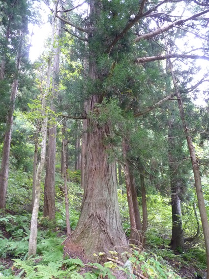 13sakasamaki