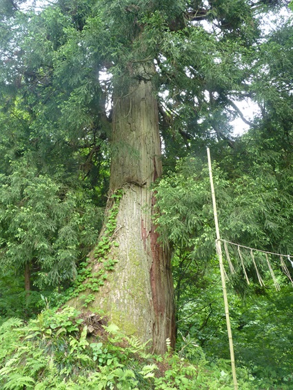 46minamimata10
