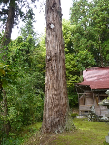 9toukamatitarusawa1