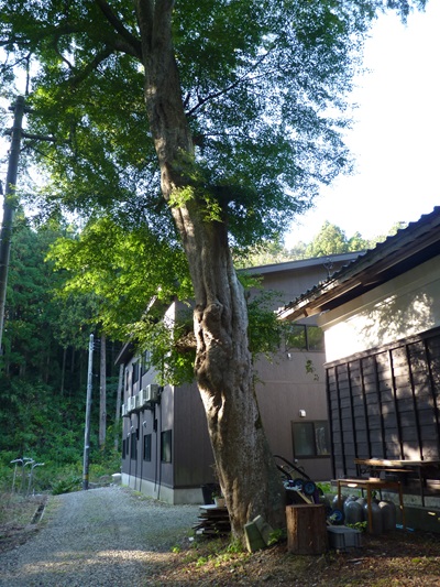 bw004492kugami21