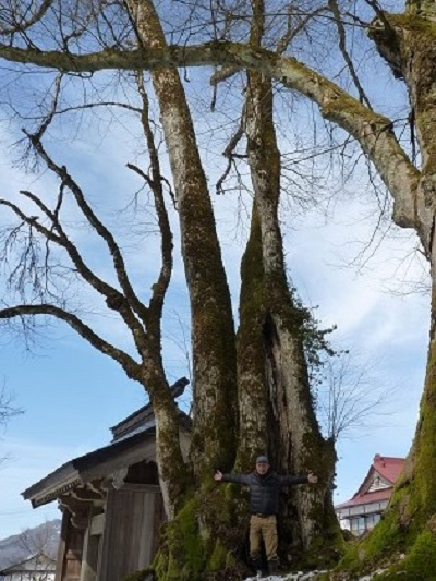g002203houonji