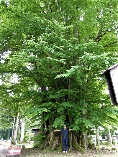 g002203iwasaki