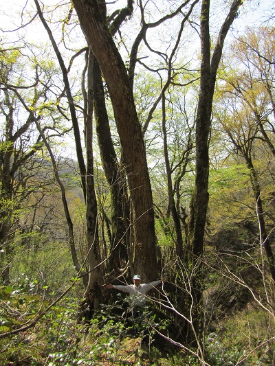 g002226oyamada40