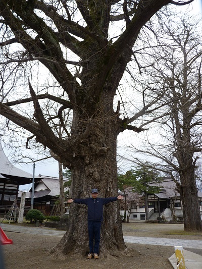 i005575simomati