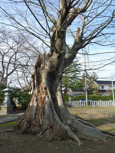 k001101doai