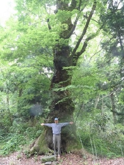 k001101hikiti