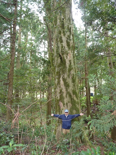 k001101kujiranami