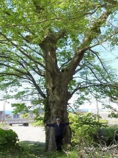 k001102nakahama1