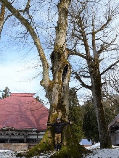 k001103houonji
