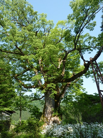 k001103nagamori-1