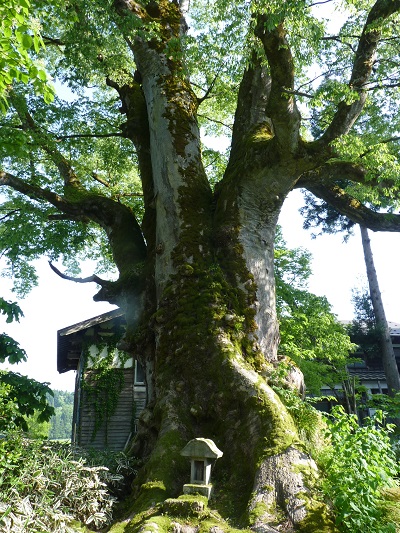 k001103nagamori