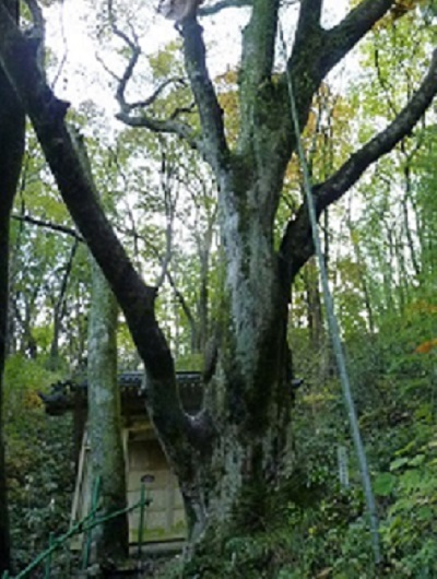 k001104touyazaki