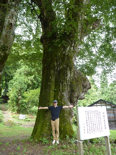 k001105kotani