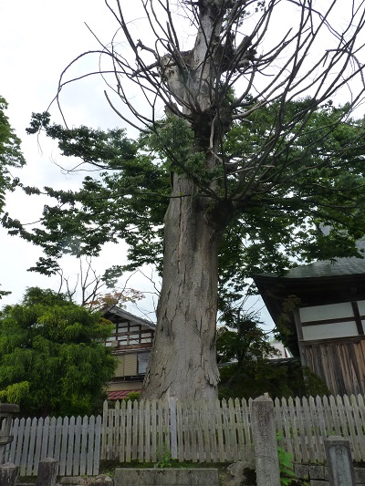 k001107heisei1