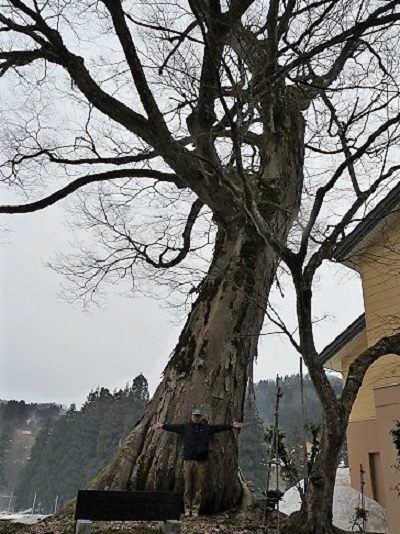 k001107koguriyama