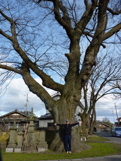 k0011104fujidukahama1