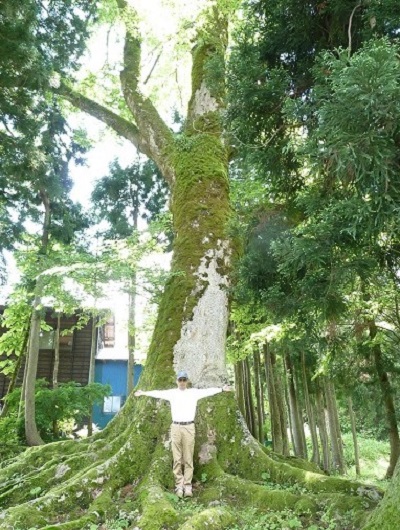 k001110totigahara