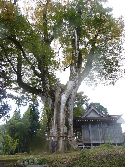k001118akatani