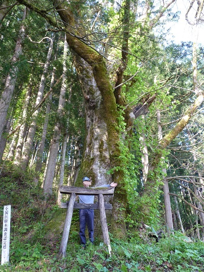 k001124nakatugi