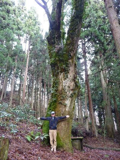 k001125nanokaiti