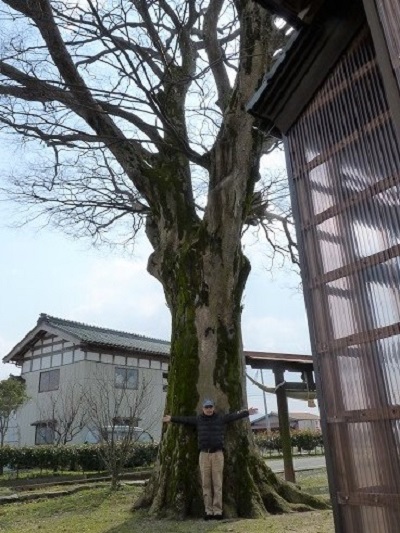 k001126kiyose