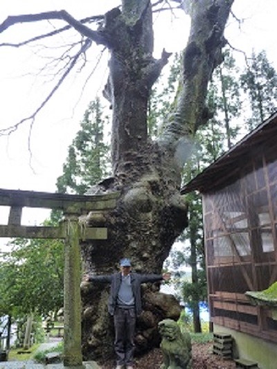 k001126maorosi