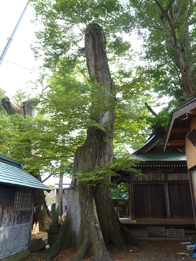 k001128inada