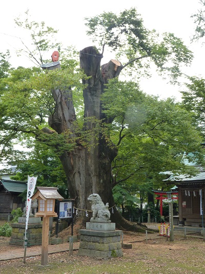 k001128inada1