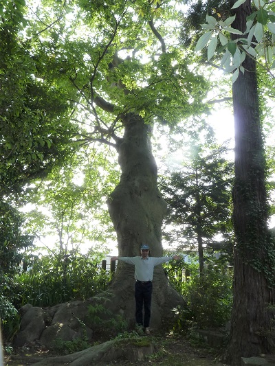 k001128kitasiro