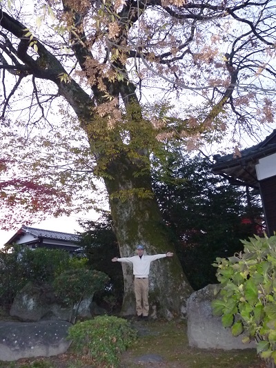 k001131natui