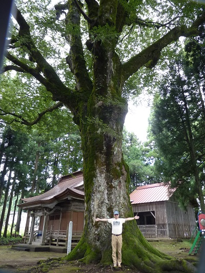 k001133ainohara