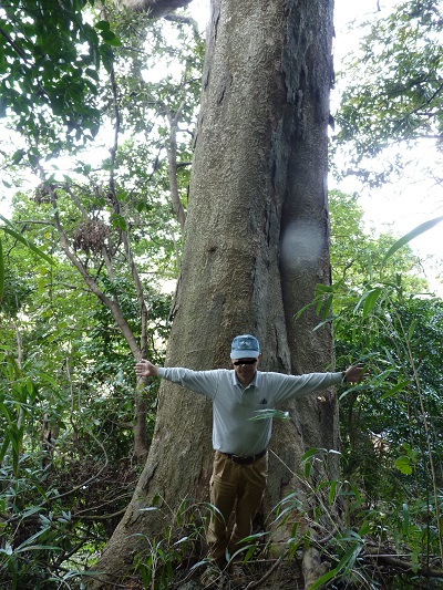 k001136itiburi