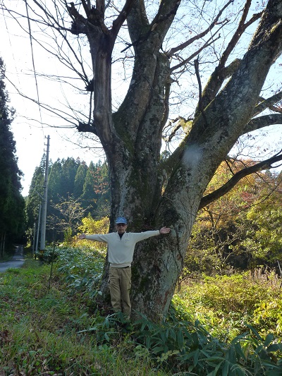 k001137kumowada