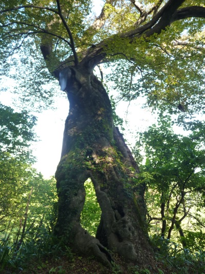 k001144yasuduka1