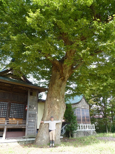 k001145doai