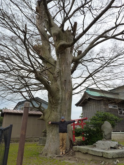 k001145hasugata1