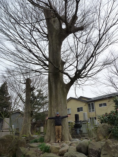 k001145hasugata2