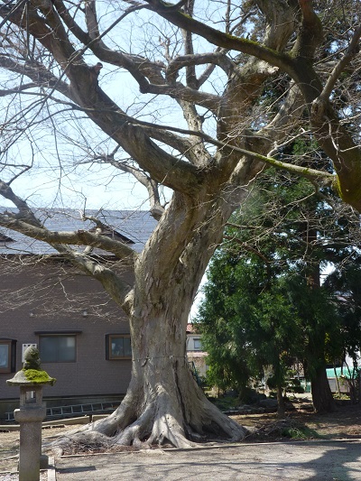 k001145imai