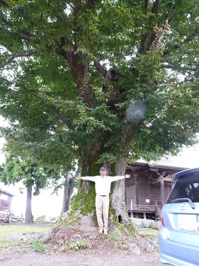 k001145kamegai