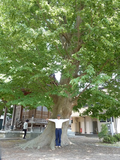 k001145kosyouji2