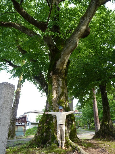 k001145sekihara