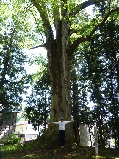k001147fukazawa