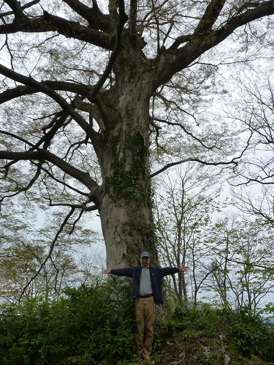 k001148mukaikanose