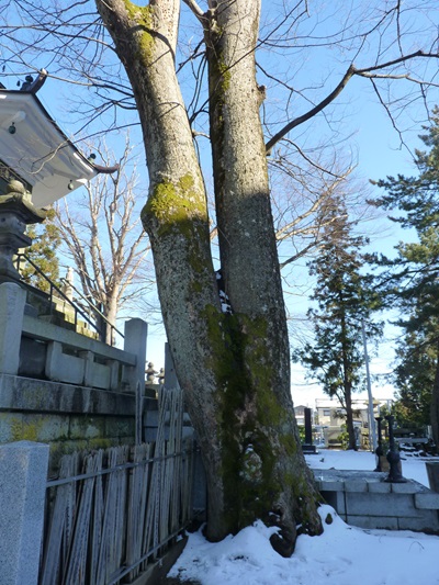 k001149nisihonjyouji2