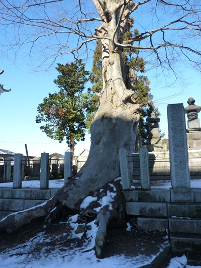 k001149nisihonjyouji3