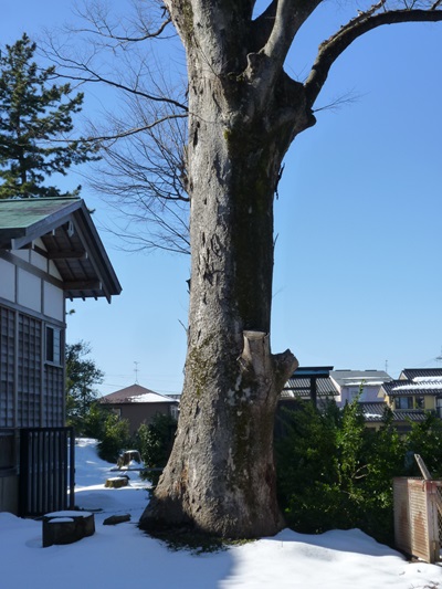 k001149nisihonjyouji4