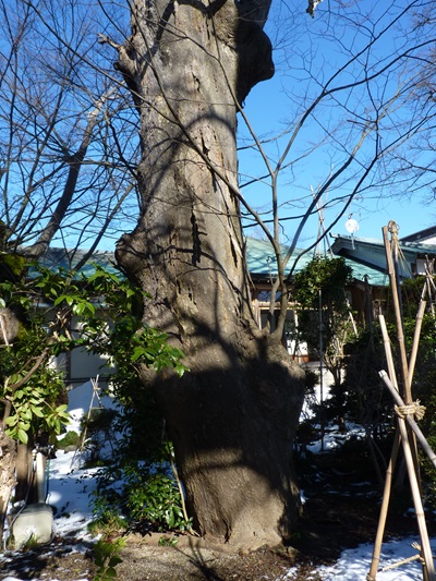k001149nisihonjyouji5
