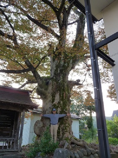 k001150higasitono