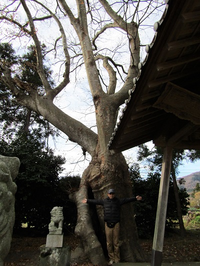 k001156fumoto1