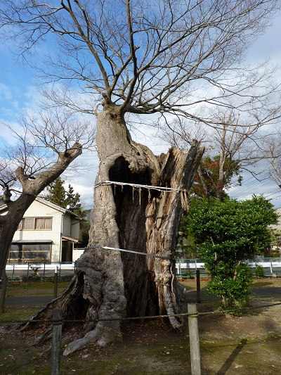 k001158wanou1